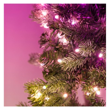 Twinkly Pre-lit Garland Smart LED 50 RGBW (Multicolor + White) Twinkly | Pre-lit Garland Smart LED 50, 2.5 m | RGBW - 16M+ color - 3